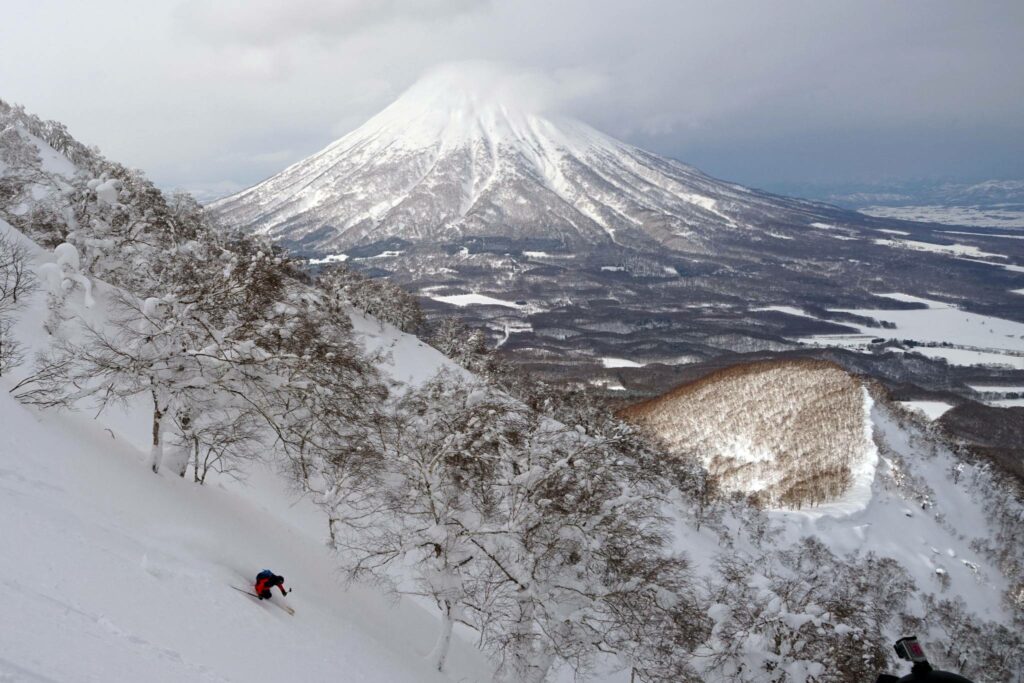 Safari ski japon vues